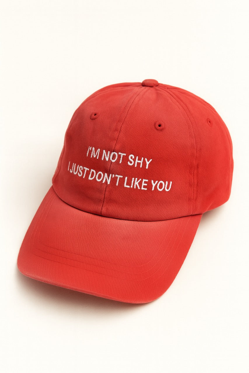 Im Not Shy I Just Dont Like You