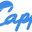 CAPP logo